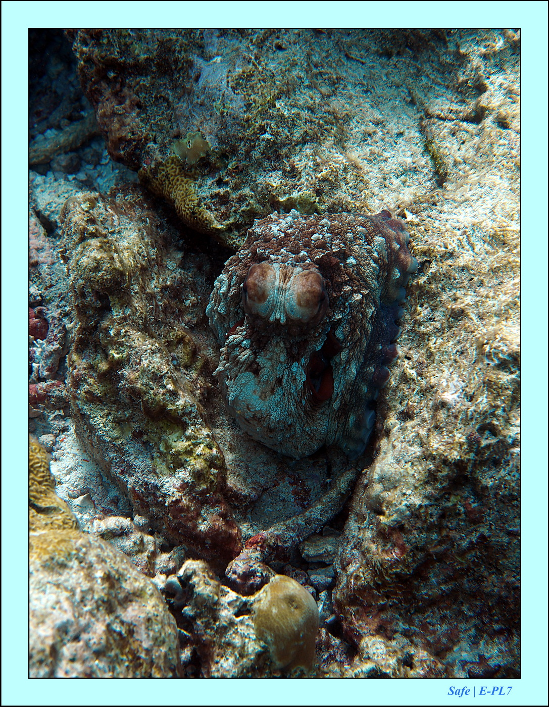 2023 - 07 - Sandies Bathala - 151